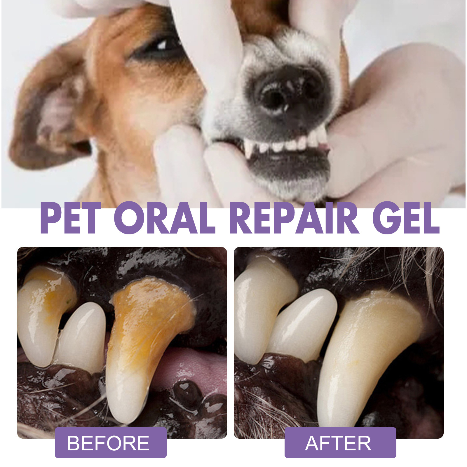 Pet Oral Repair Gel Puppy Tart - đánh giá và giá Teeth Whitening Remedies