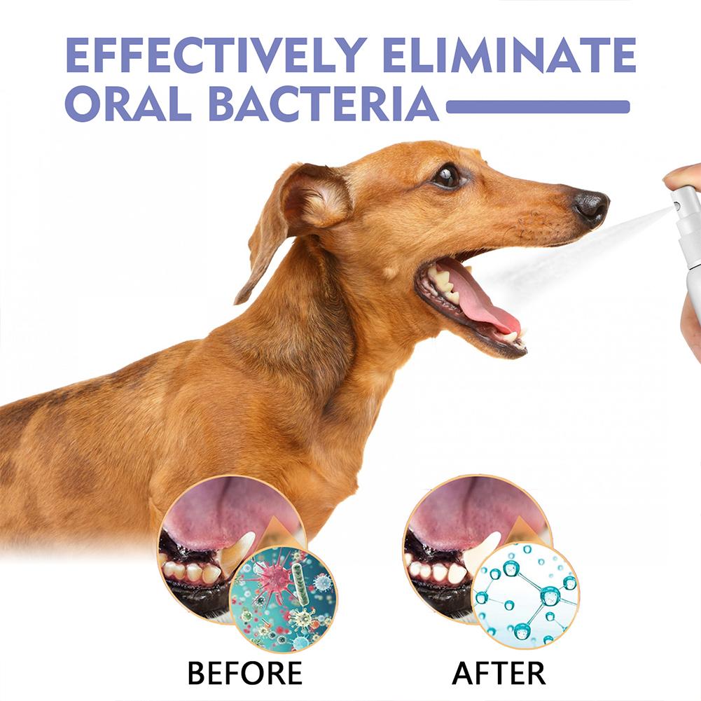 Pet Oral Cleaning Spray Mouth  - đánh giá và giá Whitening Mouthwash